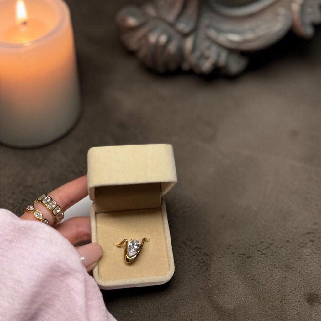 Ring Nr. 6